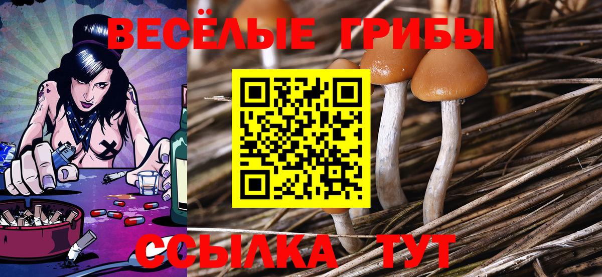 Галлюциногенные грибы мухоморы Ленинск-Кузнецкий