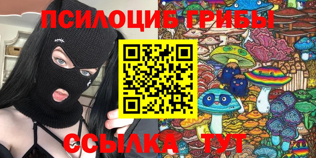 Псилоцибиновые грибы прущие грибы  Вход с VPN  Ленинск-Кузнецкий  Галлюциногенные грибы Psilocybe 